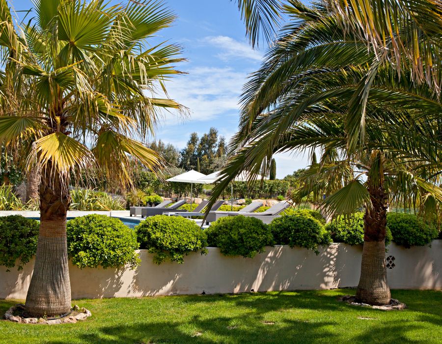 Walking distance to Le Club 55 - Ramatuelle 3