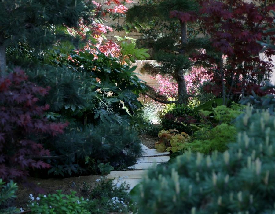 Sumptuous high quality villa walking distance to the centre of Saint Tropez 2