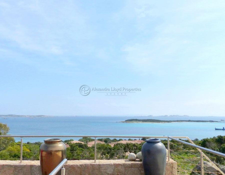 Sumptuous property in Super Cannes 1