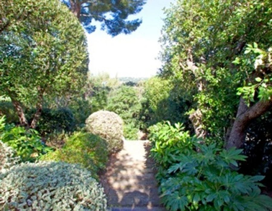 Exceptional property in Ramatuelle 6