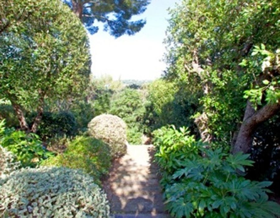 Exceptional property in Ramatuelle 6