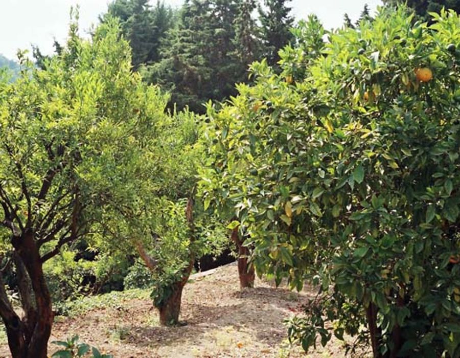 Located in a nice residential area close to the village of Saint Paul 4