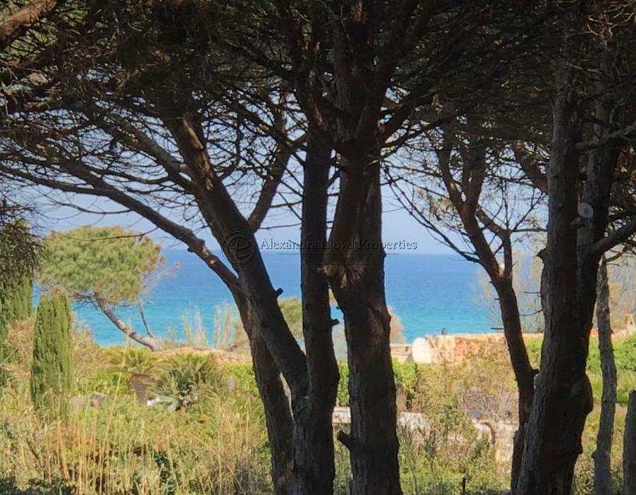 Walking distance to Pampelonne Beach - Epi - Saint Tropez / Ramatuelle 4