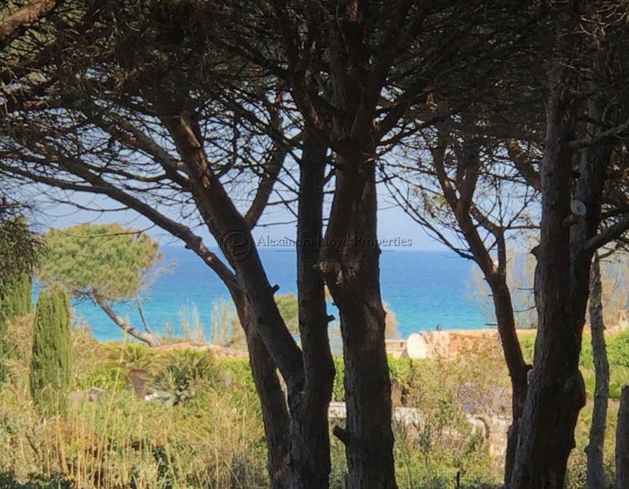Walking distance to Pampelonne Beach - Epi - Saint Tropez / Ramatuelle 4