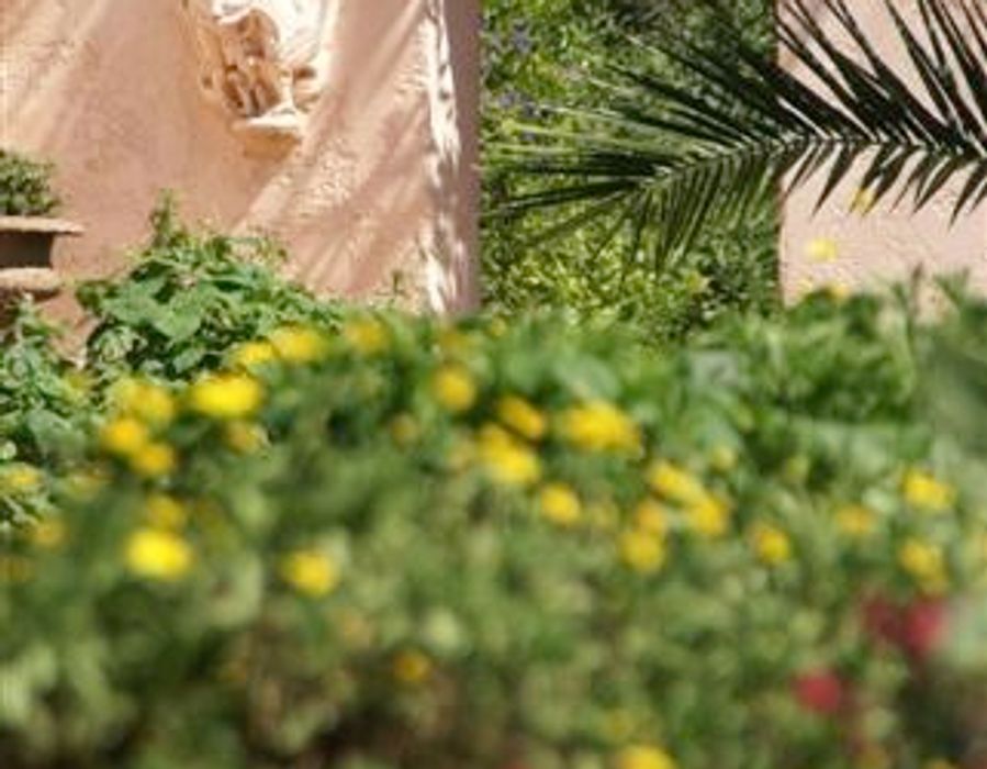 Saint Tropez - Bastide for sale 6