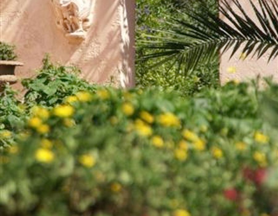 Saint Tropez - Bastide for sale 6