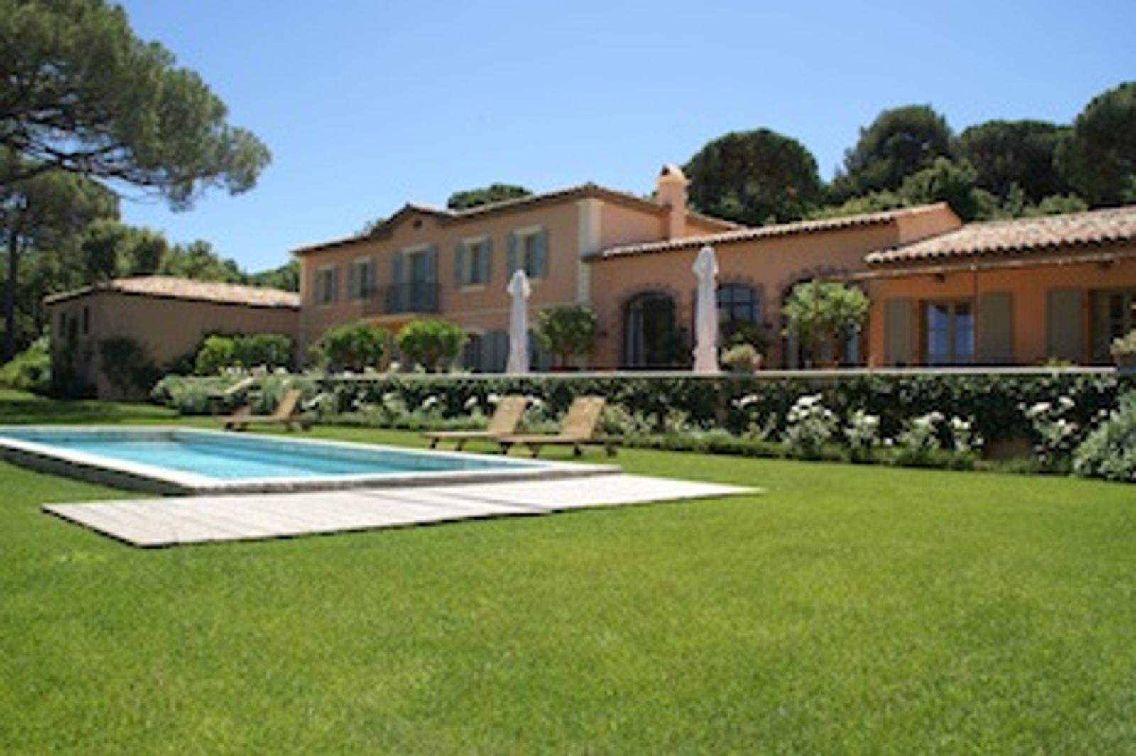 Capon - Saint Tropez