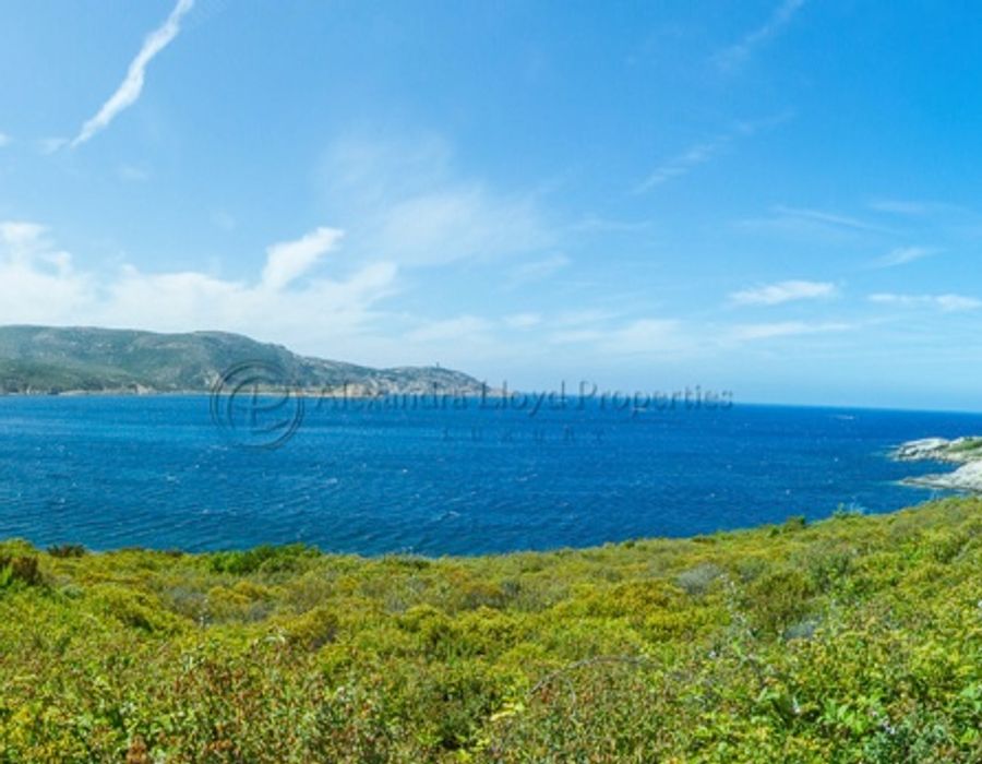 Fantastic location by Mara Beach - Calvi, North Corsica 1