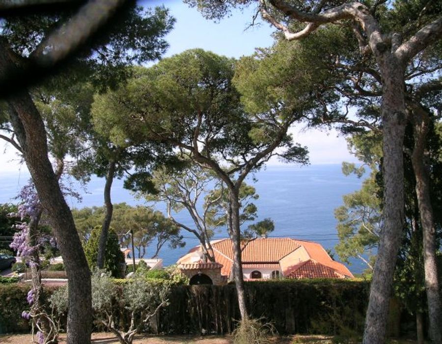 Provencal style villa on the prestigious Cap Ferrat 3
