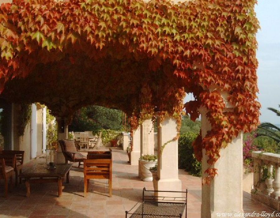 Stunning property in a private domain 6