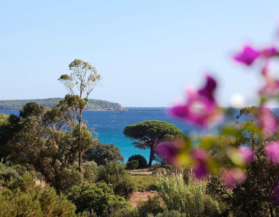 Within Walking Distance to Palombaggia Beach 2