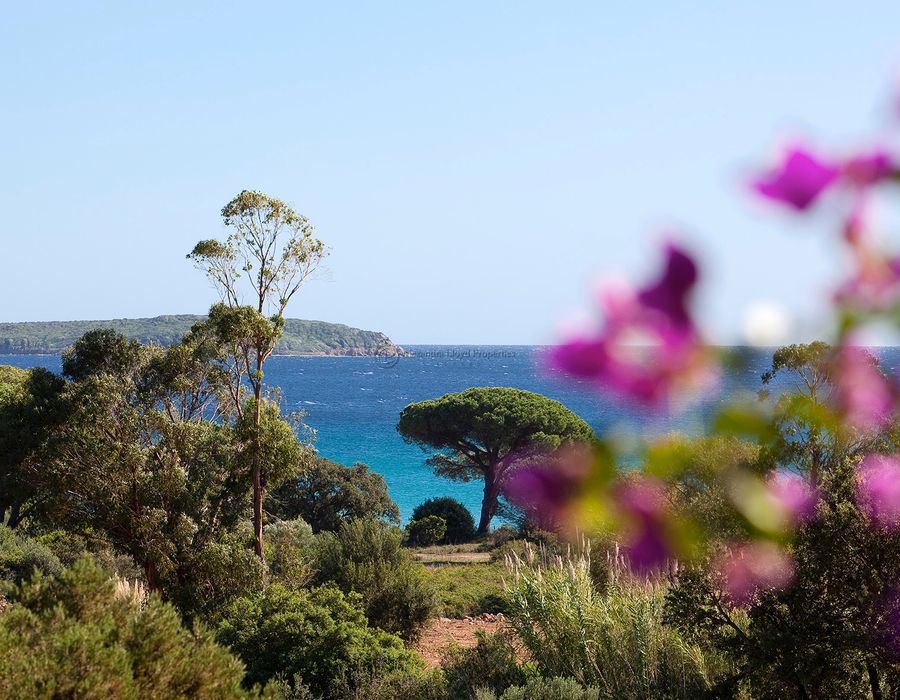 Within Walking Distance to Palombaggia Beach 2