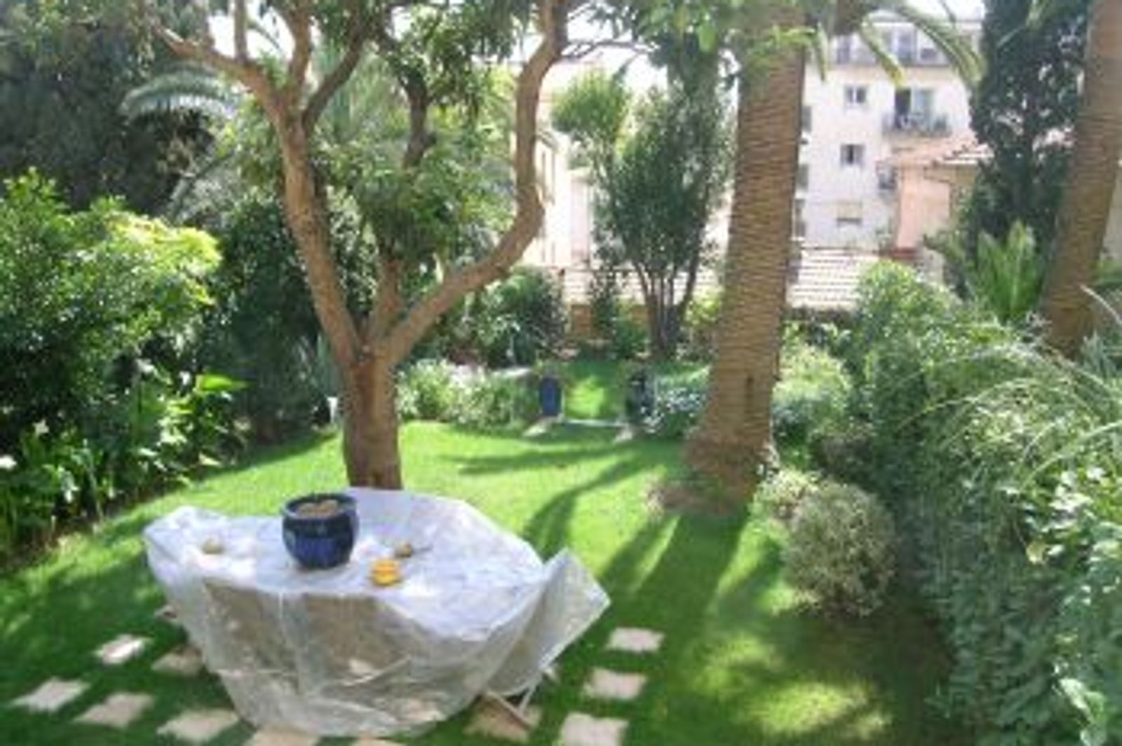 A jewel right in the heart of Cannes!