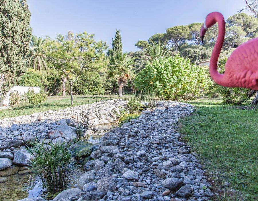 Located opposite Salis beach on the Cap d'Antibes  6