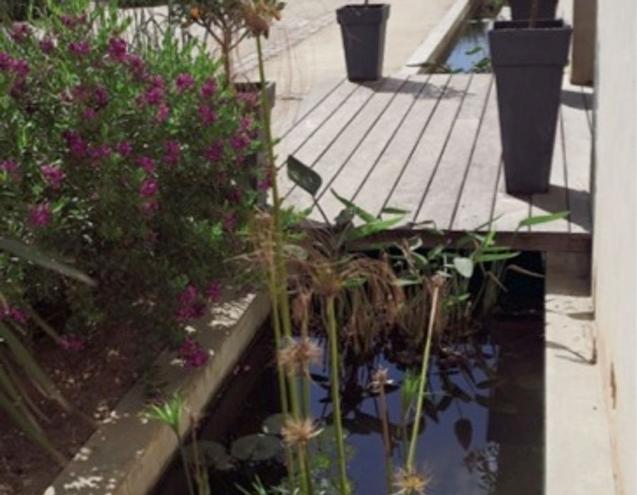 Modern house on Tahiti road at Saint Tropez 2