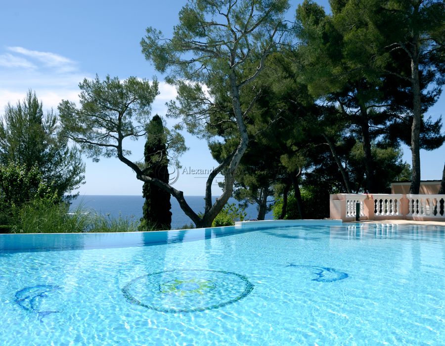 Stunning Saint Jean Cap Ferrat 3