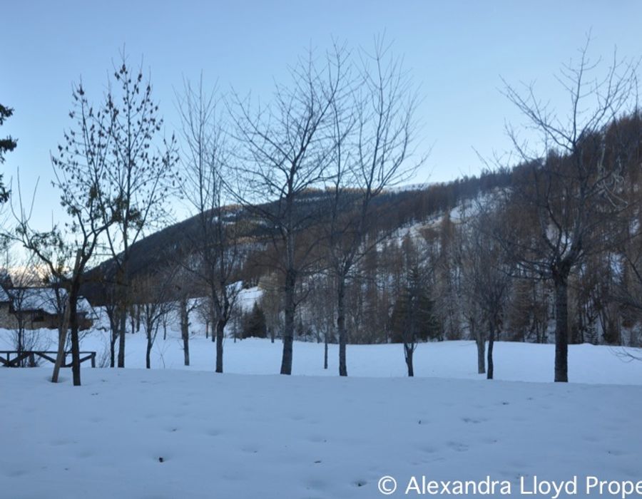 Luxurious chalet with full size swimming pool for sale in Auron 2