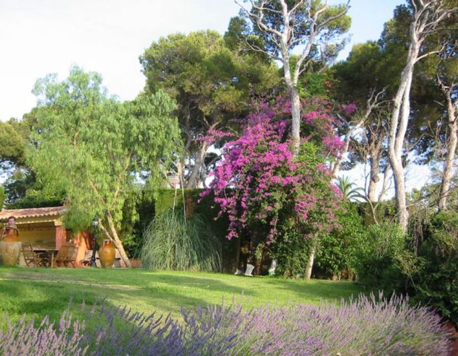 Provencal style villa on the prestigious Cap Ferrat 5
