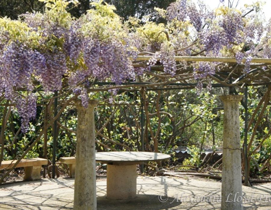 La Bastide de la Vigne - Saint Tropez 3