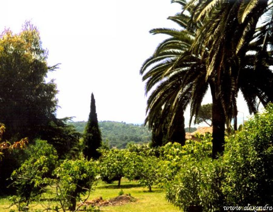 Beautiful elegant turn of century villa of 400m² 4