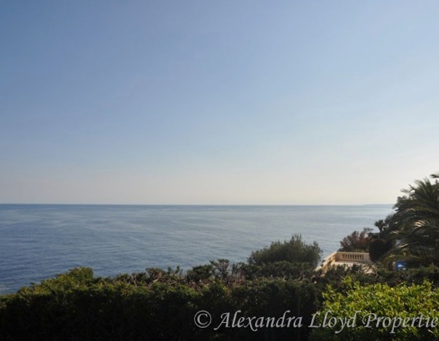 A charming Provencal property with a modern interior, well positioned 6