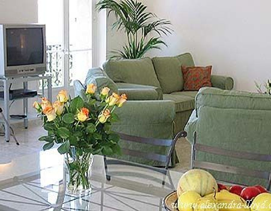 Lovely apartment in Cannes 5