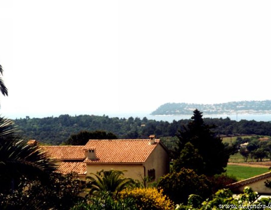 Beautiful elegant turn of century villa of 400m² 5