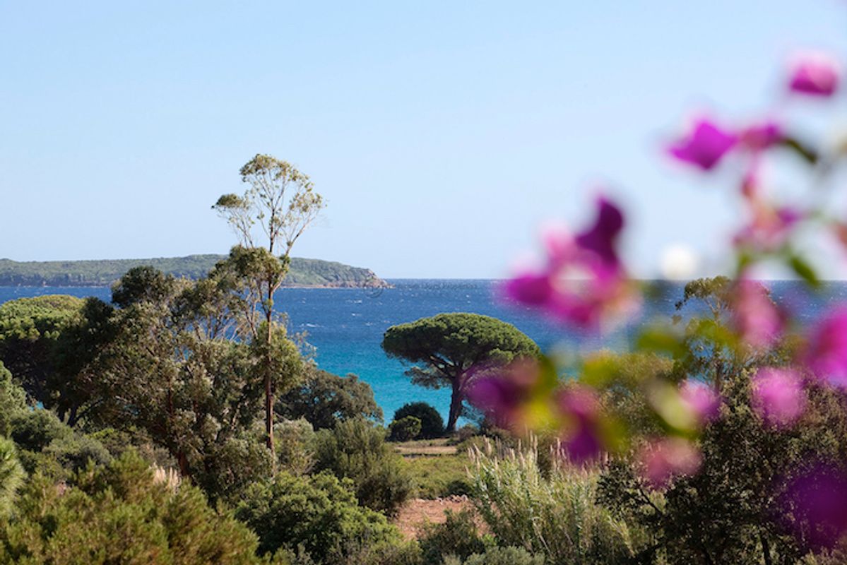 Within Walking Distance to Palombaggia Beach