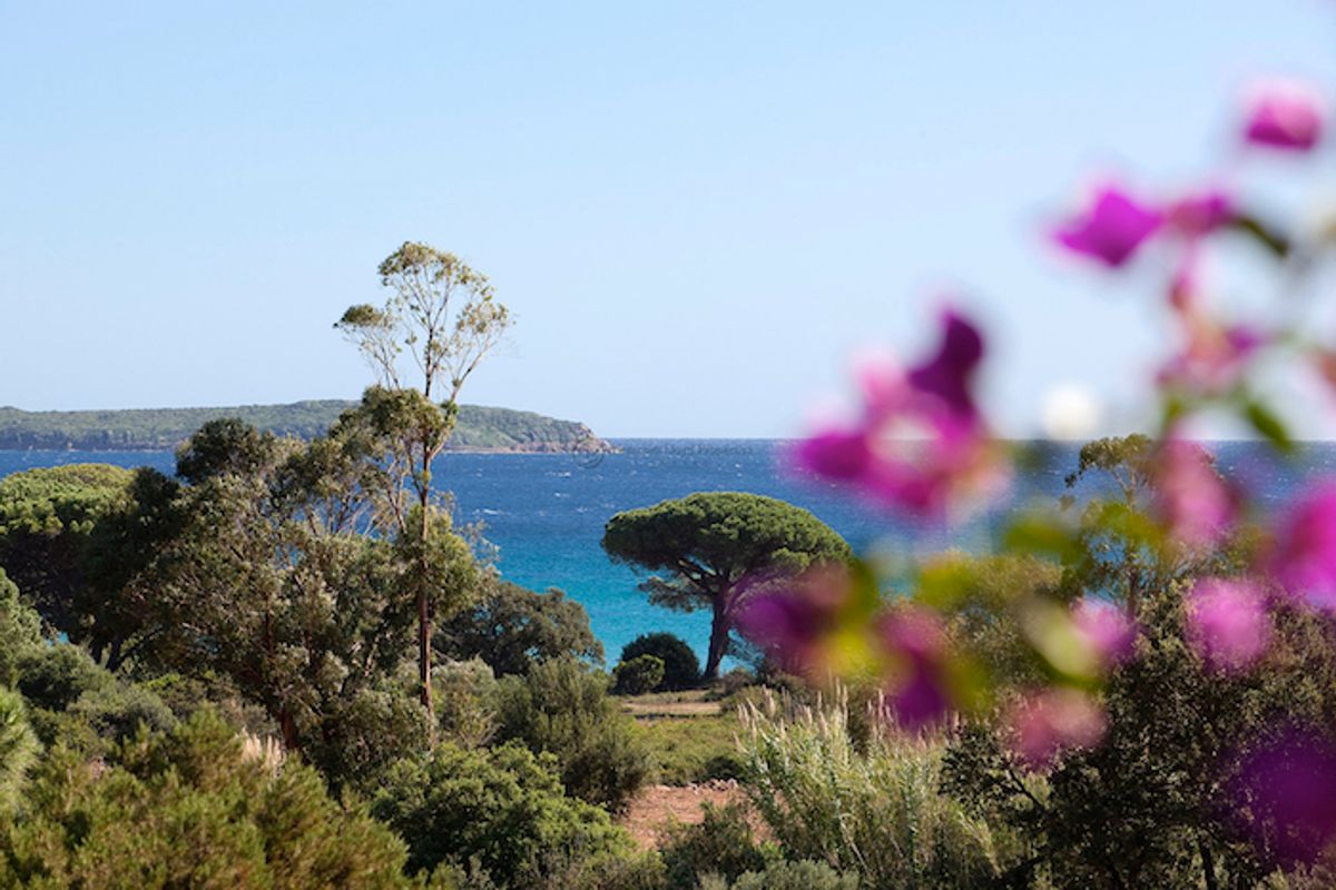 Within Walking Distance to Palombaggia Beach