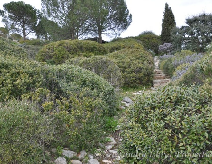 A peace haven in Saint Florent 2