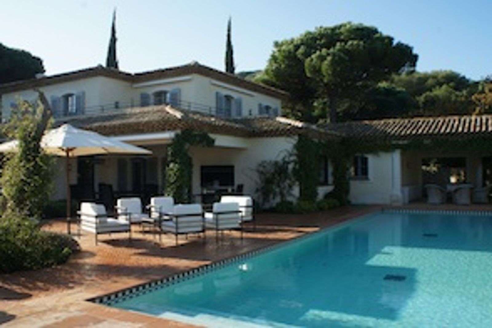 New! Capon! Saint Tropez!