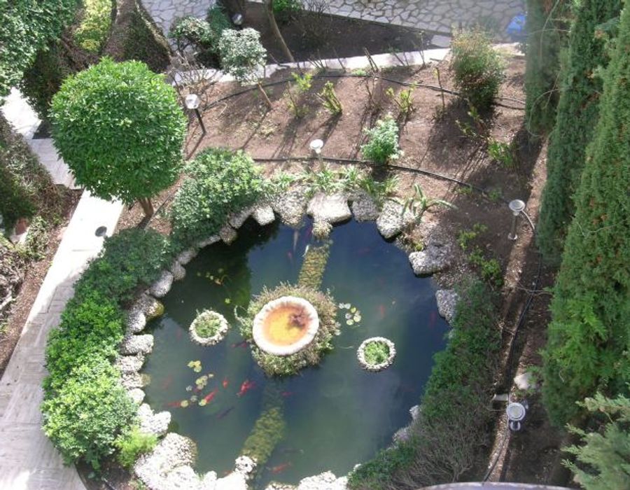 Lovely bastide, a couple of minutes away from the centre of Cannes 6