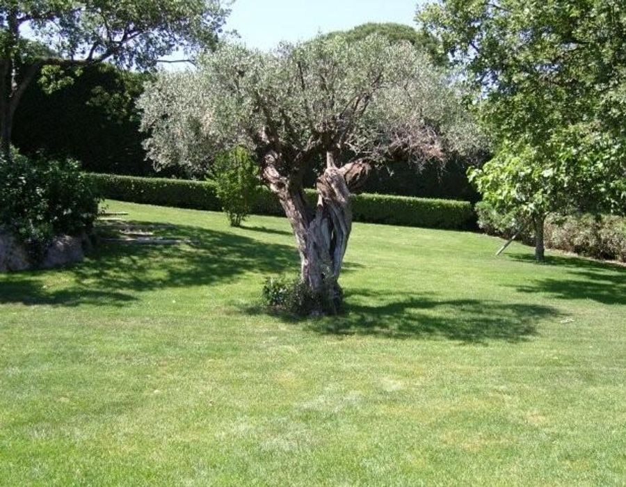 A wonderful property located in Le Parc de l'Oumede Ramatuelle 1