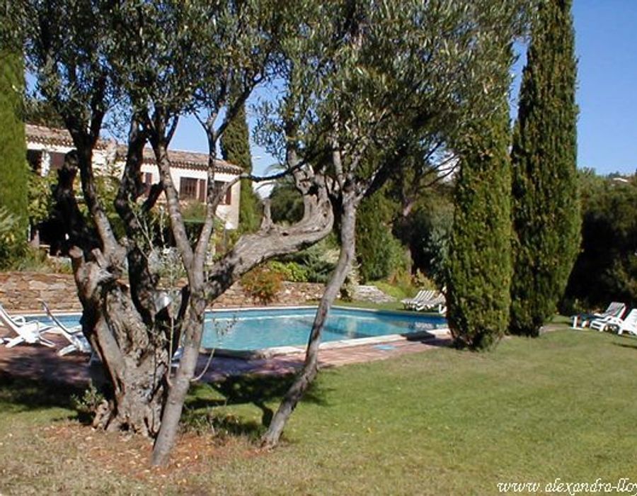 Provencal villa in la Croix Valmer 2