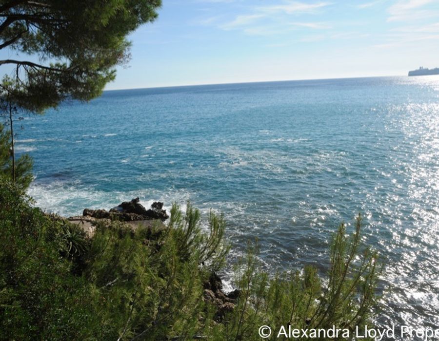 EXCEPTIONAL! Waters edge villa, Roquebrune Cap Martin 4