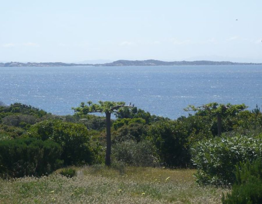 A hidden dream in the extreme South of Corsica 2