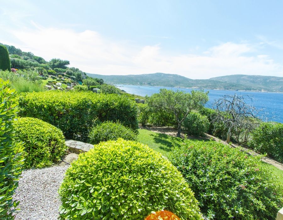 Fantastic location by Mara Beach - Calvi, North Corsica 3