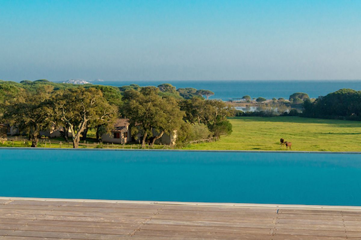 Contemporary. Palombaggia. Porto Vecchio.