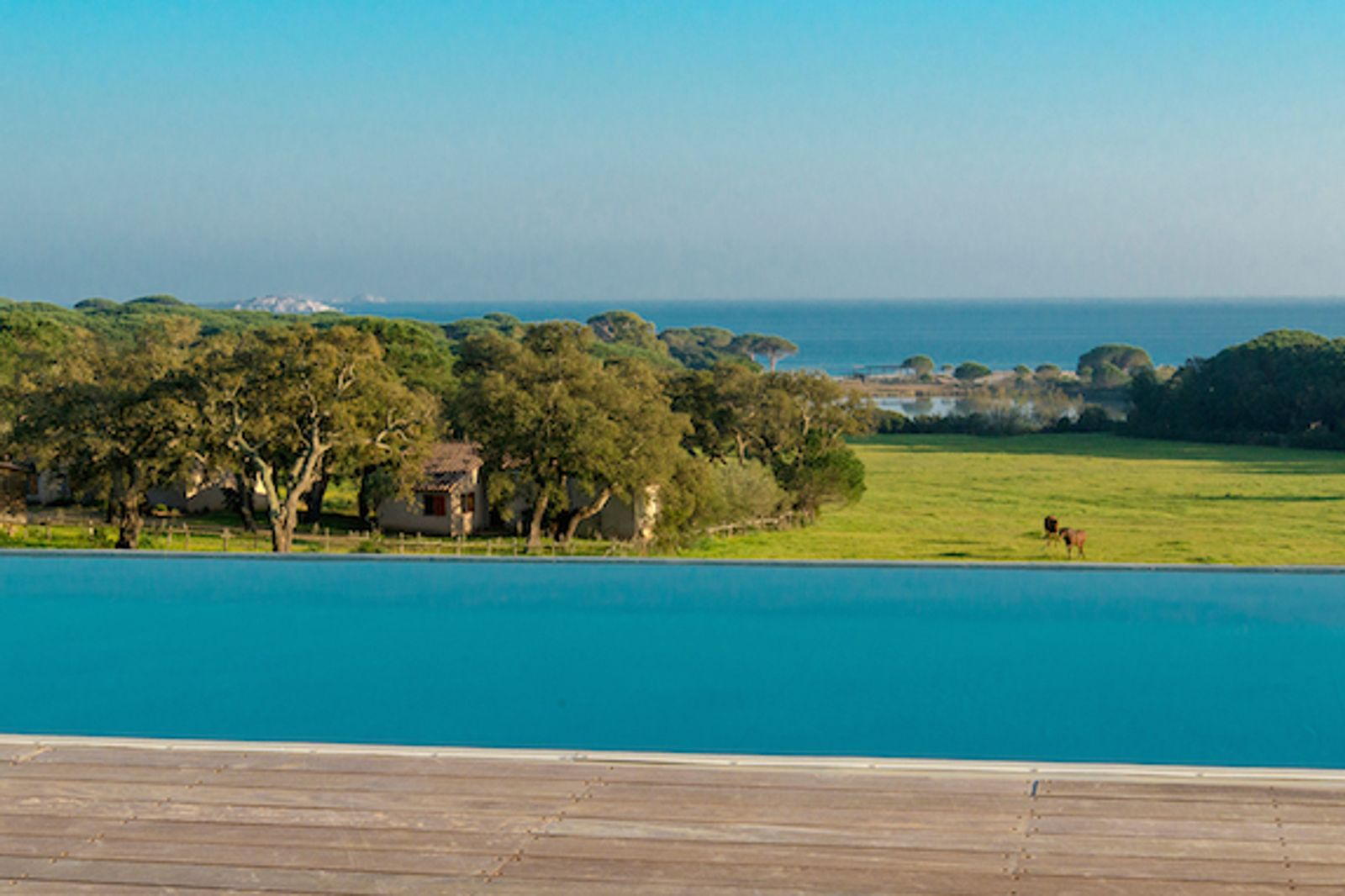 Contemporary. Palombaggia. Porto Vecchio.