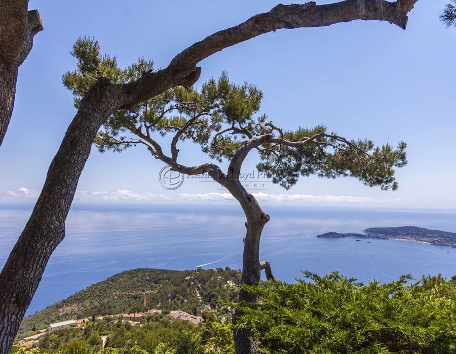 Stunning views from this charming property in Eze 5
