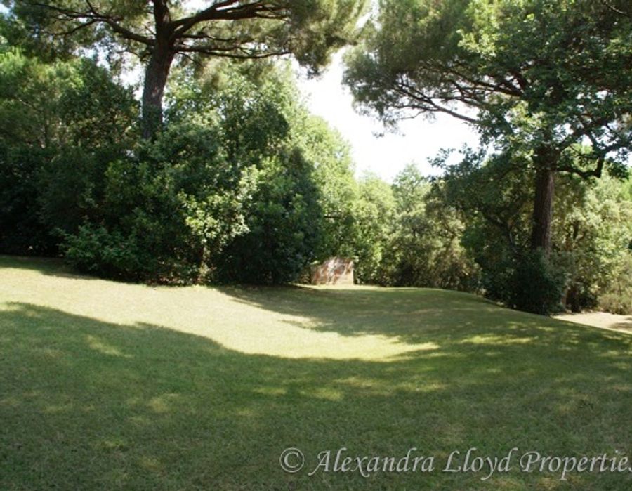 Provencal villa for sale in Saint Tropez 6