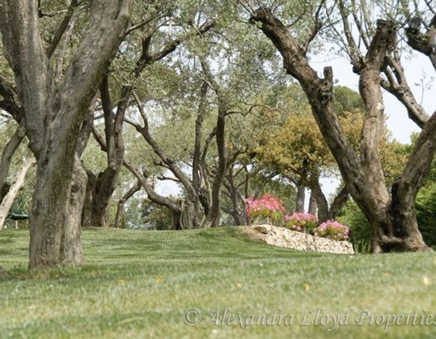 Found in the ideal location between the town centre and St. Tropez's mythical be 6