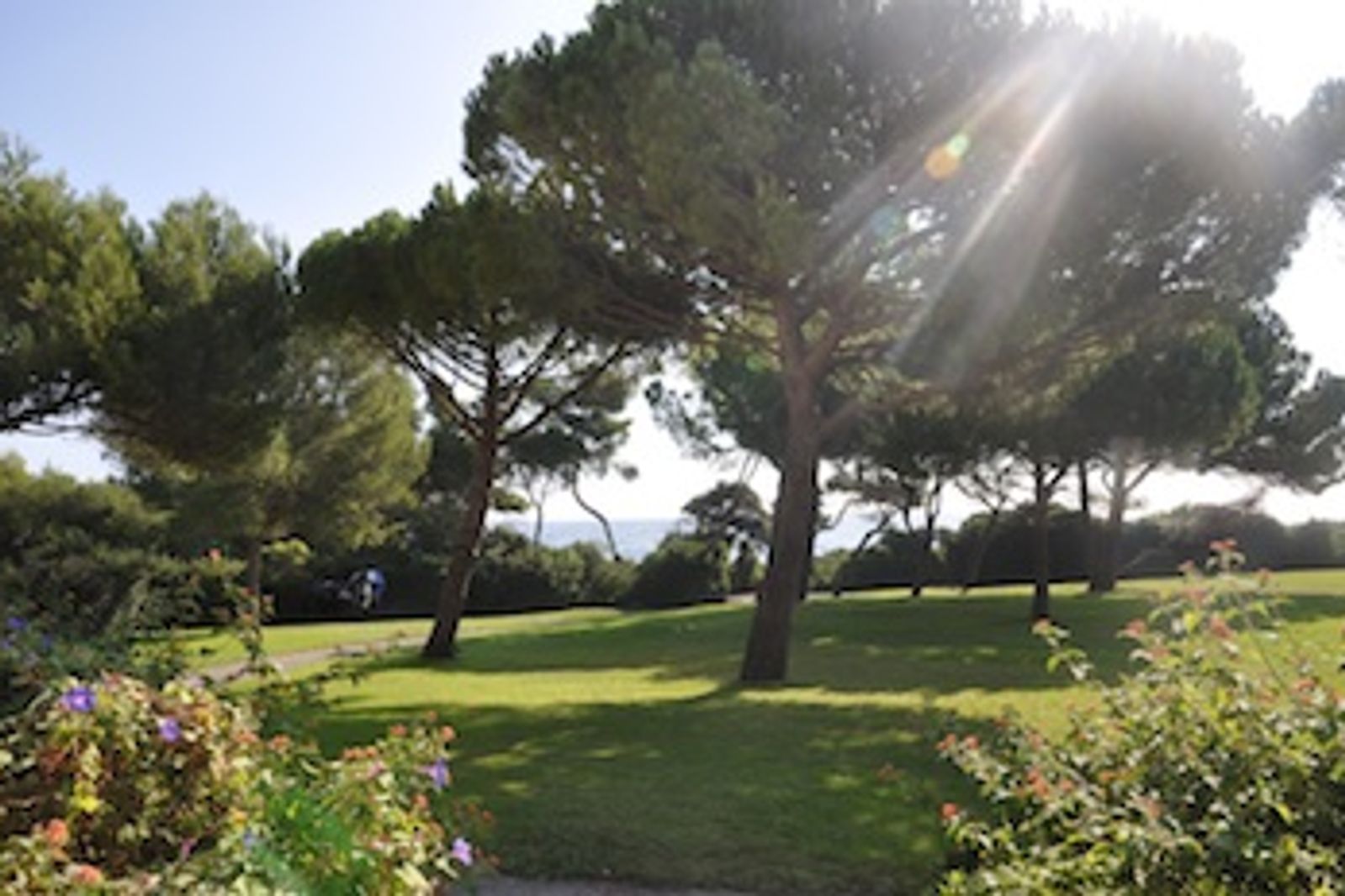 An exceptional waters edge property on the tip of the Cap d'Antibes