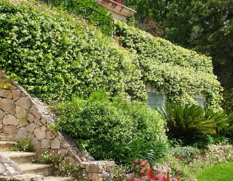 Saint Martin de Peille 5