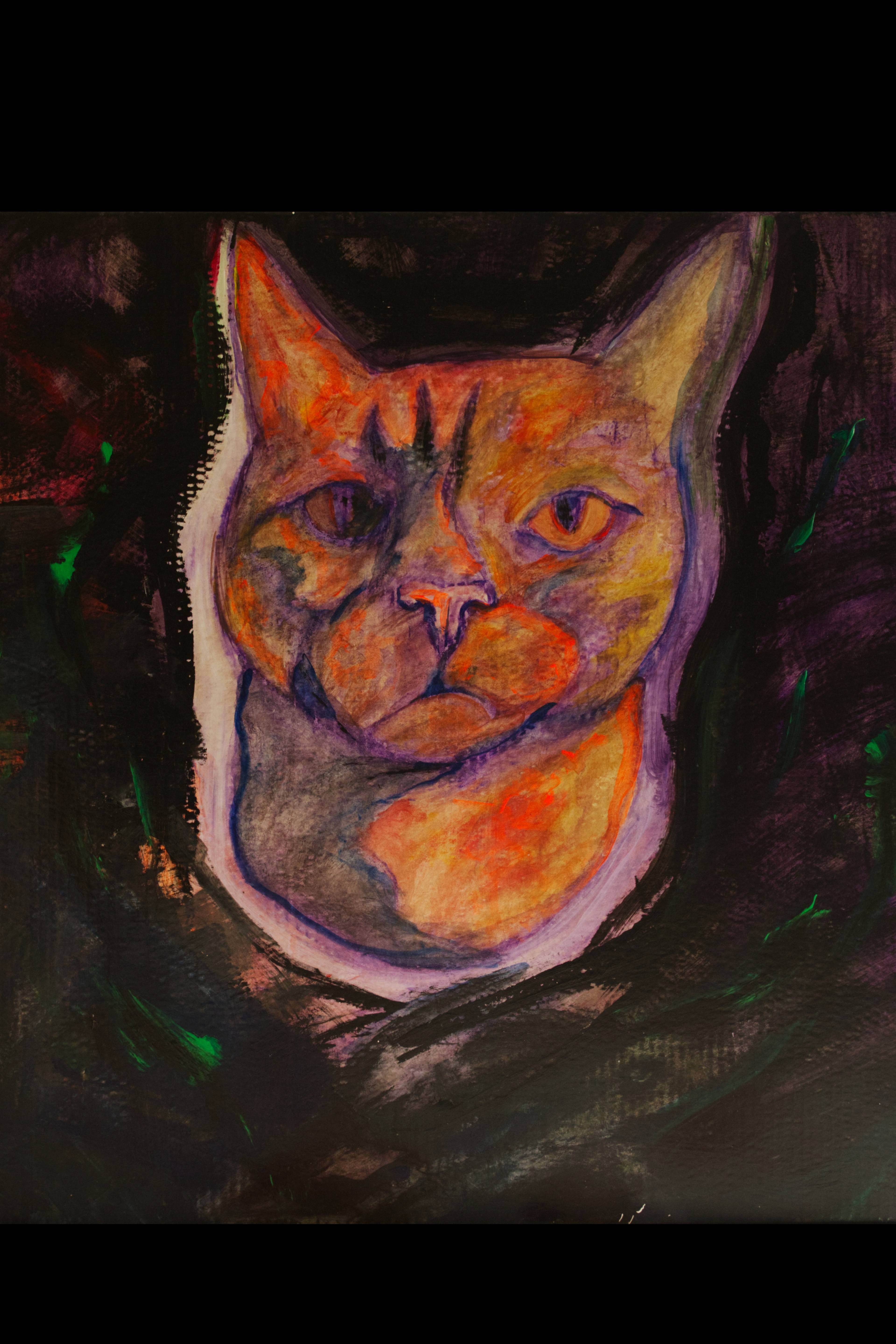 Alice au pays des merveilles - le chat 