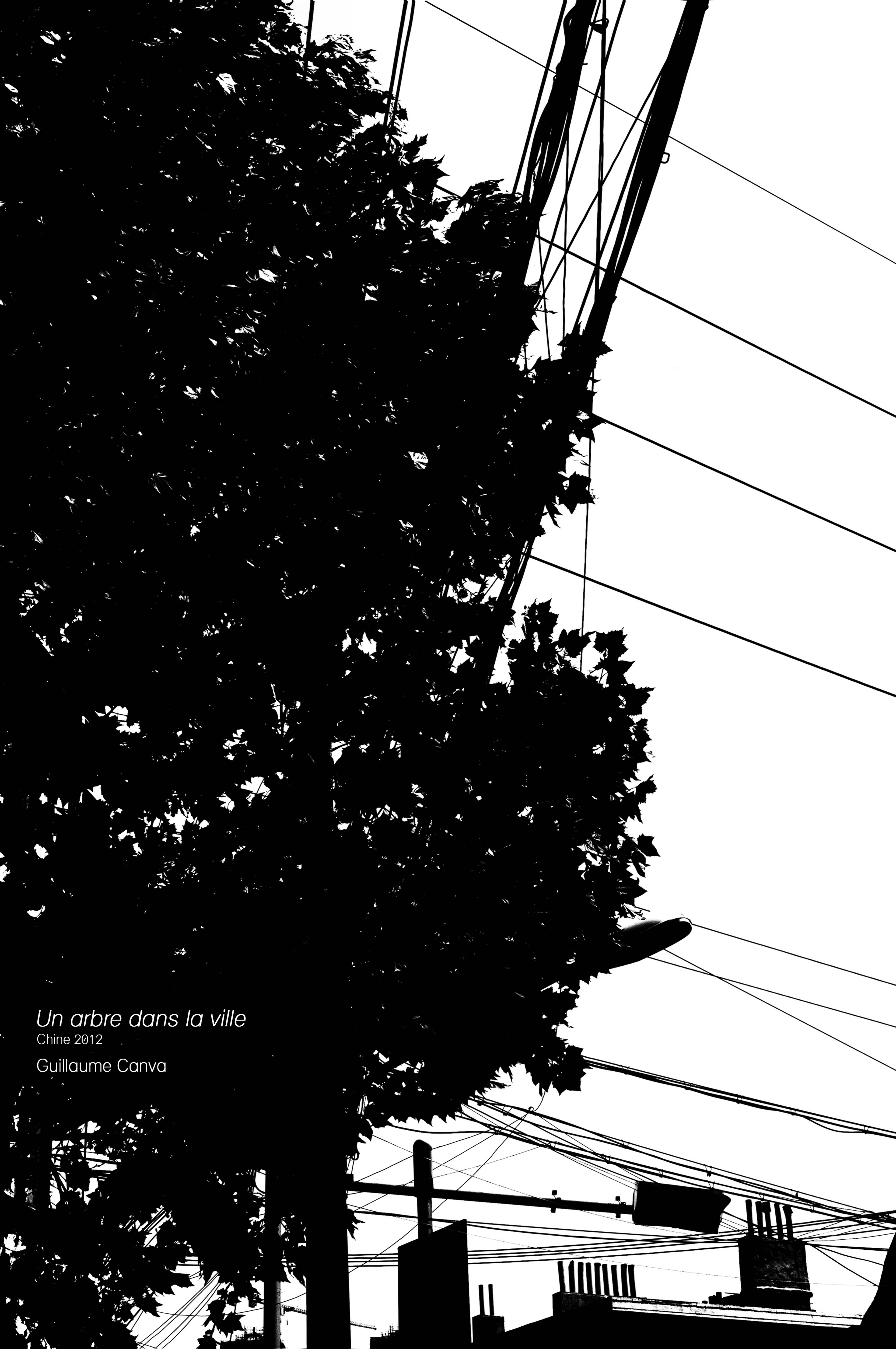 Un arbre dans la ville