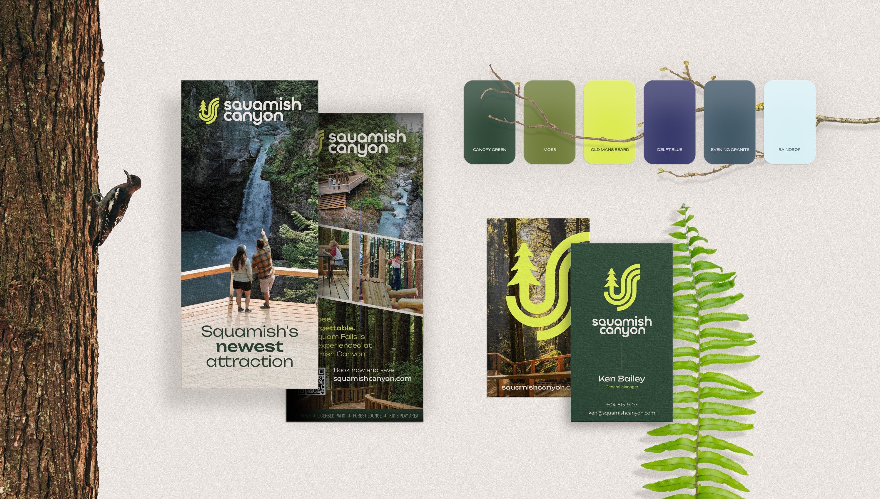 Squamish Canyon brochures, business cards and colour swatches beside a fern