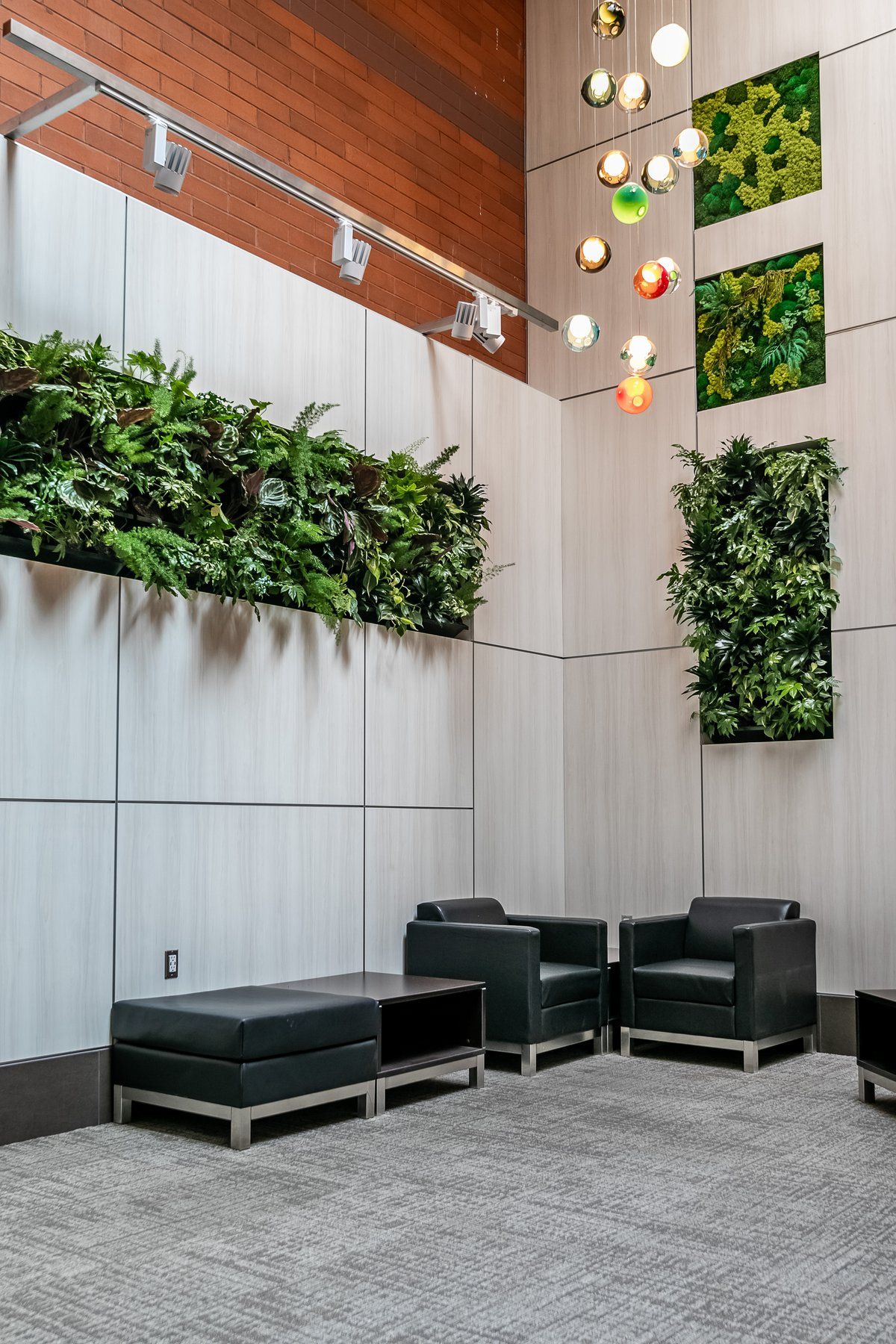 A lobby with living walls and black lounge chairs, designed by Blue Graphite