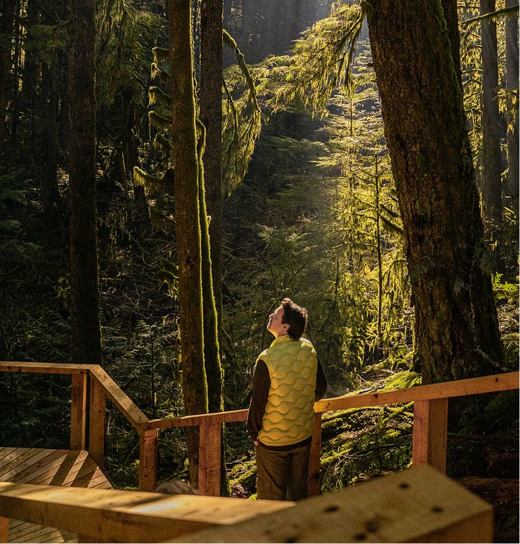 A hiker looks up at sunlit rainforest from a canyon stairway