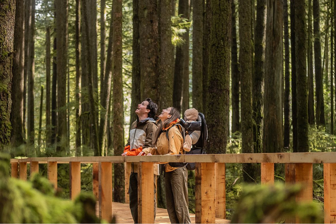 A family on a walkway among tall trees